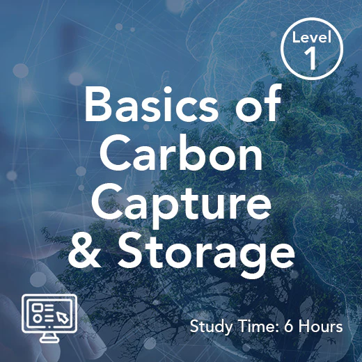 Basics of Carbon Capture and Storage (On-Demand)
